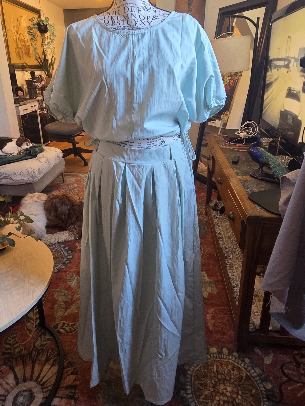 Light Blue Women's Maxi Skirt - Brand Unspecified